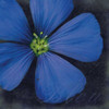 Bleu Flower Poster Print by Lauren Gibbons - Item # VARPDXGLSQ019J