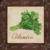 Cilantro Poster Print by Lauren Gibbons - Item # VARPDXGLSQ036A