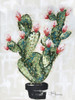 Cactus Poster Print by Hollihocks Art Hollihocks Art - Item # VARPDXHH108