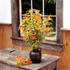 Wildflower Window Poster Print by Irvin Hoover - Item # VARPDXHOO106