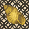 Gold Shells IV Poster Print by N. Harbick - Item # VARPDXHRB447