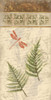 Spice Ferns Mate Poster Print by Jace Grey - Item # VARPDXJGPL143B