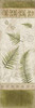 Ferns Poster Print by Jace Grey - Item # VARPDXJGPL143C