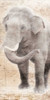 African Traveling  Animals Elephant Poster Print by Jace Grey - Item # VARPDXJGPL240D