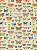 Butterflies Poster Print by Jace Grey - Item # VARPDXJGRC022A