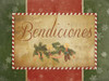 Bendiciones Poster Print by Jace Grey - Item # VARPDXJGRC025B