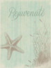 Rejuvenate Poster Print by Jace Grey - Item # VARPDXJGRC048E