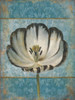 Single Flower 1 Poster Print by Jace Grey