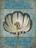 Single Flower 1 Poster Print by Jace Grey