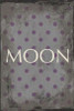 moon Poster Print by Jace Grey - Item # VARPDXJGRC089G
