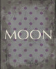 moon Poster Print by Jace Grey - Item # VARPDXJGRC089G3