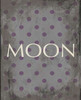 moon Poster Print by Jace Grey - Item # VARPDXJGRC089G3