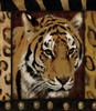 Tiger Bordered Poster Print by Jace Grey - Item # VARPDXJGRC097A2