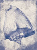 Shell Shade Poster Print by Jace Grey