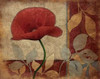 Poppies Poster Print by Jace Grey - Item # VARPDXJGRC147A