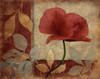 Poppies Mate Poster Print by Jace Grey