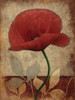 Poppies Vert Poster Print by Jace Grey - Item # VARPDXJGRC147C