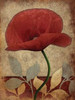 Poppies Vert Poster Print by Jace Grey