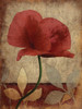 Poppies  Vert Mate Poster Print by Jace Grey - Item # VARPDXJGRC147D