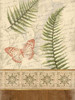 The Butterfly Fern Poster Print by Jace Grey - Item # VARPDXJGRC183B