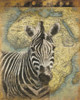 Zebra Africa Poster Print by Jace Grey - Item # VARPDXJGRC196A