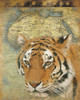 Tiger Africa Poster Print by Jace Grey - Item # VARPDXJGRC196B