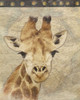 Giraffe Poster Print by Jace Grey - Item # VARPDXJGRC196C