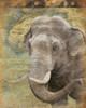Elephant 2 Poster Print by Jace Grey - Item # VARPDXJGRC196D2