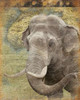 Elephant 2 Poster Print by Jace Grey - Item # VARPDXJGRC196D2