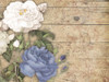 Purple floral mate Poster Print by Jace Grey - Item # VARPDXJGRC197B