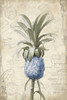 Blue Pineapple Poster Print by Jace Grey - Item # VARPDXJGRC201A