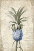 Blue Pineapple Poster Print by Jace Grey - Item # VARPDXJGRC201A