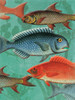 School OF Fish Poster Print by Jace Grey - Item # VARPDXJGRC202A