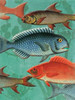 School OF Fish Poster Print by Jace Grey - Item # VARPDXJGRC202A