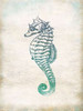 Seahorse Poster Print by Jace Grey