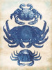 3 Crabs Poster Print by Jace Grey - Item # VARPDXJGRC226A