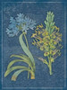 Blue print floral Poster Print by Jace Grey - Item # VARPDXJGRC232A