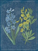 Blue Print Floral Mate Poster Print by Jace Grey - Item # VARPDXJGRC232B