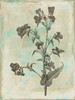 Earthy floral Mix Poster Print by Jace Grey - Item # VARPDXJGRC255D2