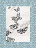 Butterfly border 2 Poster Print by Jace Grey - Item # VARPDXJGRC263B