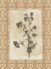 Floral bordered 3 Poster Print by Jace Grey - Item # VARPDXJGRC264C
