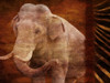 Elephant Instinct Poster Print by Jace Grey - Item # VARPDXJGRC349C