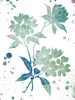 Floral Neutral Splatter Poster Print by Jace Grey - Item # VARPDXJGRC356A2