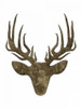 Aged Deer Mate Poster Print by Jace Grey - Item # VARPDXJGRC424B