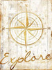 Explore Your Gold Poster Print by Jace Grey - Item # VARPDXJGRC444A