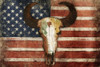 US Skull Flag Poster Print by Jace Grey - Item # VARPDXJGRC447A
