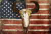 US Skull Flag Poster Print by Jace Grey - Item # VARPDXJGRC447A