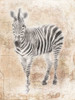 African Zebra Poster Print by Jace Grey - Item # VARPDXJGRC449B