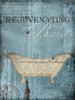 Rejuvenating Bath Poster Print by Jace Grey - Item # VARPDXJGRC450B