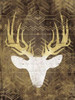 Deer In The Light Mate Poster Print by Jace Grey - Item # VARPDXJGRC463B